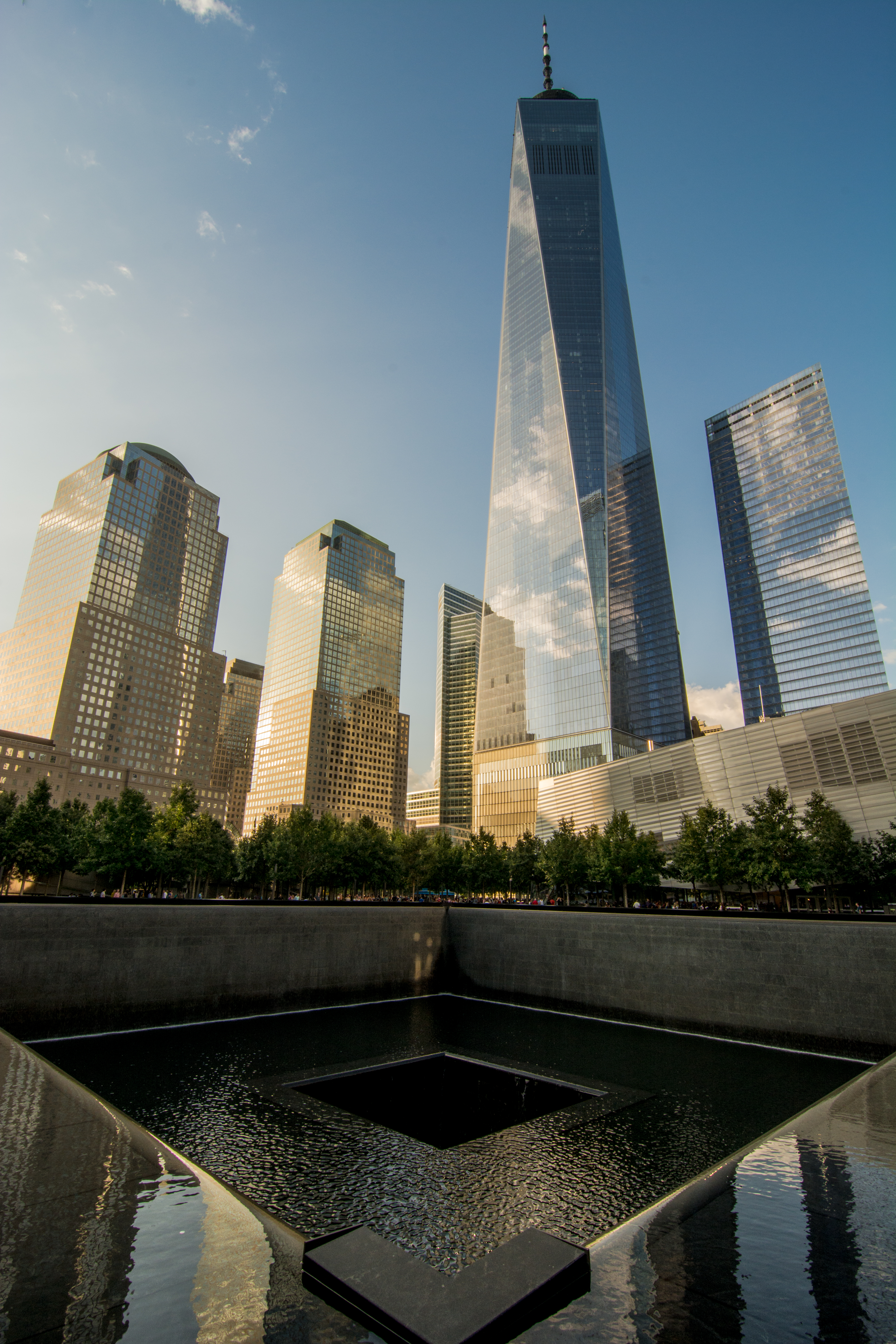 _DSC2294